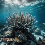 Descubriendo la foca de Groenlandia (Ártico): hábitat y supervivencia