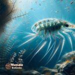 Pseudoniscus: el enigma fósil